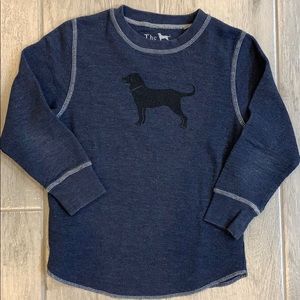 The Black Dog Boys S Small Blue Lab Dog Shirt